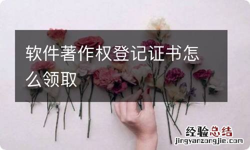 软件著作权登记证书怎么领取