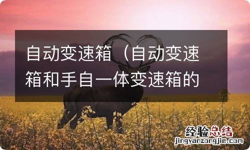 自动变速箱和手自一体变速箱的区别 自动变速箱