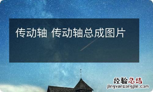 传动轴 传动轴总成图片