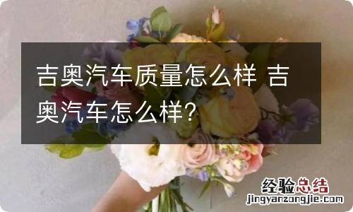 吉奥汽车质量怎么样 吉奥汽车怎么样?