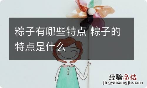 粽子有哪些特点 粽子的特点是什么
