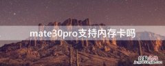 mate30pro支持内存卡吗 mate30pro 内存卡