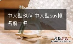 中大型SUV 中大型suv排名前十名