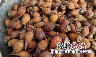 金樱子怎么泡酒 新鲜金樱子怎么泡酒