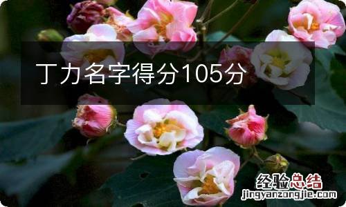 丁力名字得分105分