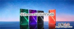 华为nova5可以升5G吗