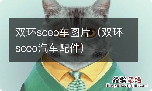 双环sceo汽车配件 双环sceo车图片