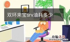 双环来宝srv油耗多少