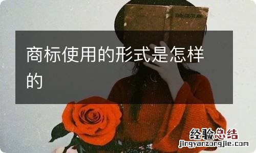 商标使用的形式是怎样的