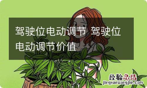 驾驶位电动调节 驾驶位电动调节价值