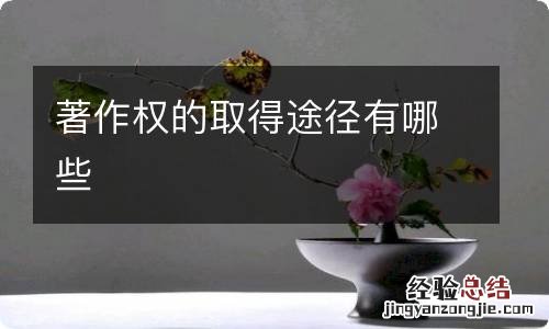 著作权的取得途径有哪些