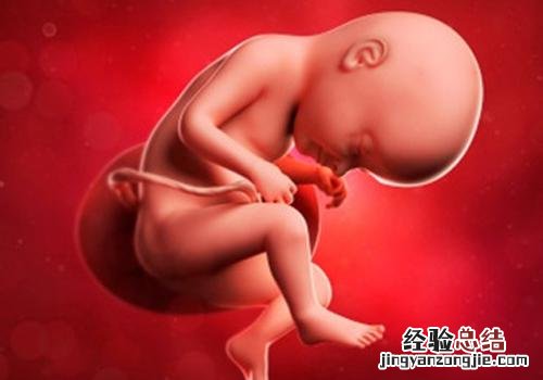 孕妇初期情绪激动对胎儿有什么影响 怀孕初期情绪激动会有什么后果