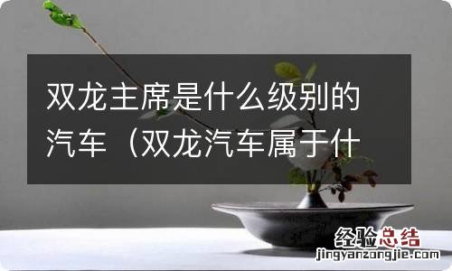 双龙汽车属于什么车系 双龙主席是什么级别的汽车