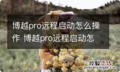 博越pro远程启动怎么操作 博越pro远程启动怎么用