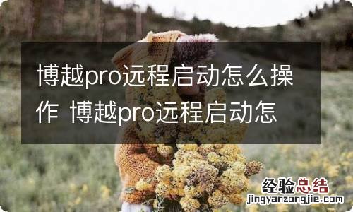 博越pro远程启动怎么操作 博越pro远程启动怎么用