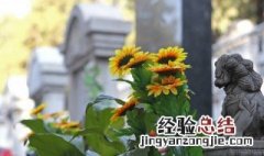 人去世后的七个七讲究 人死后的讲究和说法