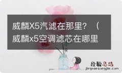 威麟x5空调滤芯在哪里 威麟X5汽滤在那里？