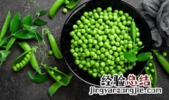 豌豆什么时候种合适 豌豆什么时候种合适?