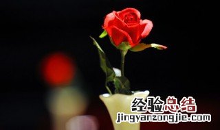 玫瑰花保存方法图片 玫瑰花保存方法