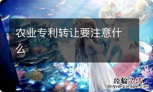 农业专利转让要注意什么