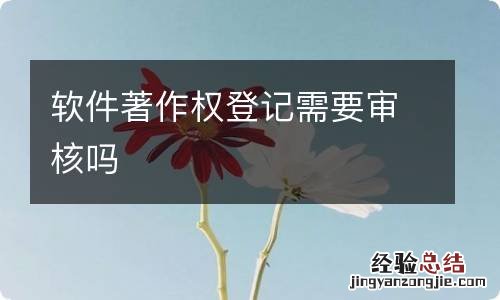 软件著作权登记需要审核吗