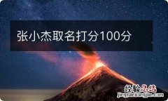 张小杰取名打分100分