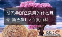 斯巴鲁BRZ采用的什么悬架 斯巴鲁brz百度百科