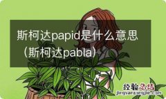 斯柯达pabla 斯柯达papid是什么意思