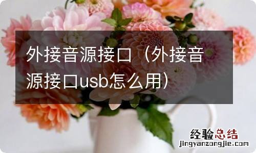 外接音源接口usb怎么用 外接音源接口