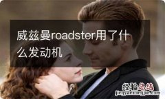 威兹曼roadster用了什么发动机