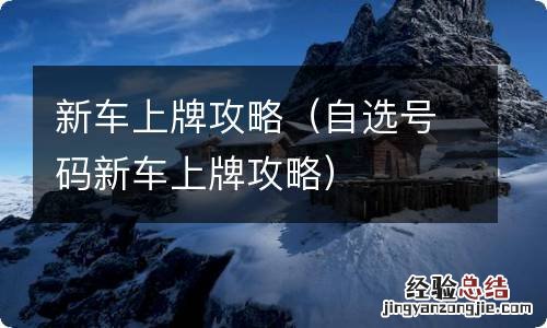 自选号码新车上牌攻略 新车上牌攻略