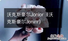 沃克斯豪尔Joninr 沃克斯豪尔Jonior