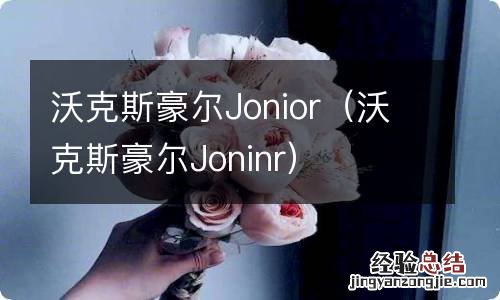 沃克斯豪尔Joninr 沃克斯豪尔Jonior