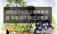 标致307十万公里保养项目 标致307 10万公里保养