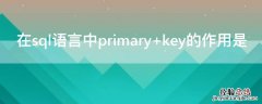 在sql语言中primary key的作用是