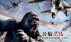 kingkong什么意思 kingkong什么意思pgone