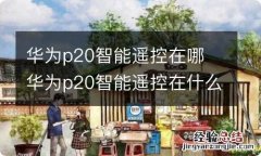 华为p20智能遥控在哪 华为p20智能遥控在什么地方