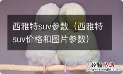 西雅特suv价格和图片参数 西雅特suv参数