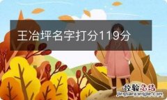 王冶坪名字打分119分