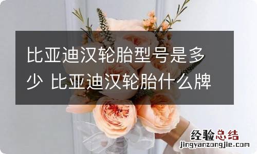 比亚迪汉轮胎型号是多少 比亚迪汉轮胎什么牌子