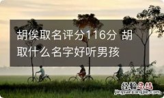 胡俟取名评分116分 胡取什么名字好听男孩