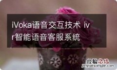 iVoka语音交互技术 ivr智能语音客服系统