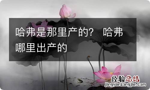 哈弗是那里产的? 哈弗哪里出产的