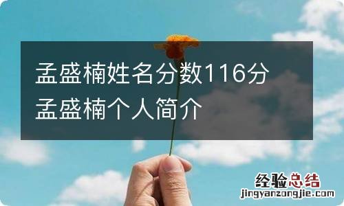 孟盛楠姓名分数116分 孟盛楠个人简介