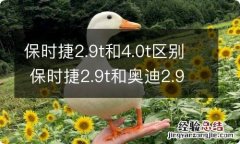 保时捷2.9t和4.0t区别 保时捷2.9t和奥迪2.9t区别