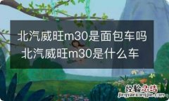 北汽威旺m30是面包车吗 北汽威旺m30是什么车型