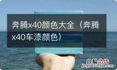 奔腾x40车漆颜色 奔腾x40颜色大全