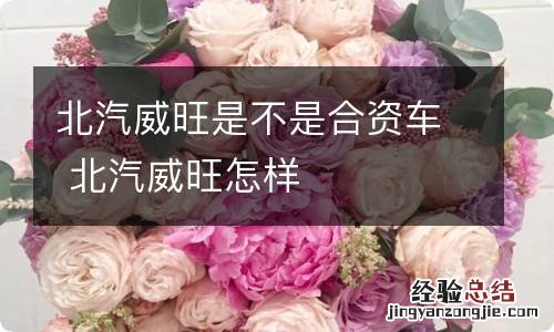 北汽威旺是不是合资车 北汽威旺怎样