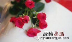 24朵玫瑰花的花语是什么 40朵玫瑰花花语是什么