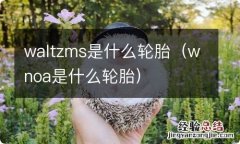 wnoa是什么轮胎 waltzms是什么轮胎